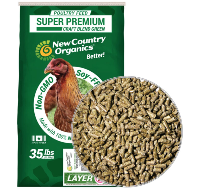 How to Choose the Best Poultry Feed for Your Farm in Bangladesh