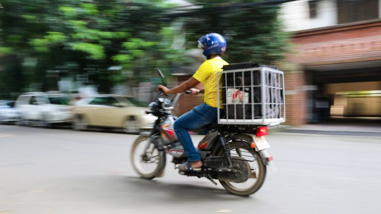 The Best Grocery Delivery Services in Bangladesh