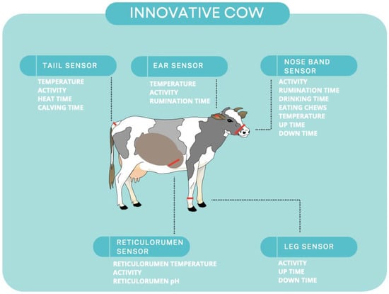 The Future of Cattle Farming in Bangladesh: Trends And Innovations