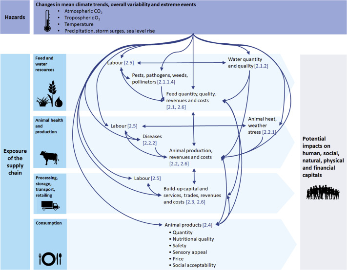 The Impact of Feed Quality on Cattle Health And Production