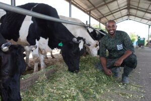 The Role of Feed Innovation in Boosting Bangladesh’S Livestock Industries